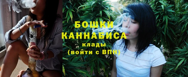 сатива Болхов
