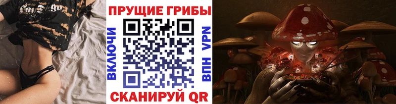 как найти закладки  Калязин  Галлюциногенные грибы Cubensis 